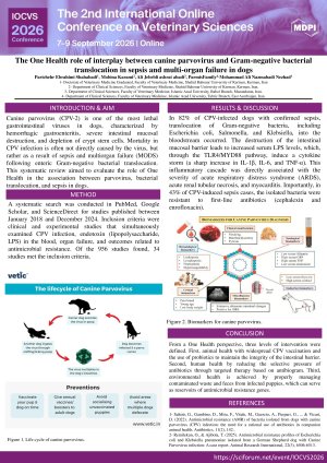 Poster (1).pdf